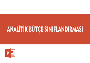 Analitik Bütçe Sınıflandırması